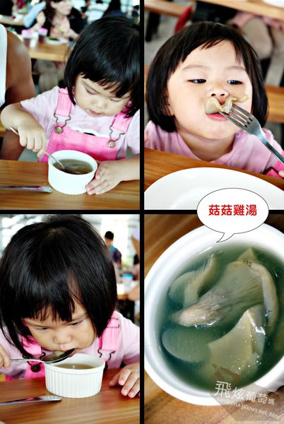 菇菇雞湯.jpg