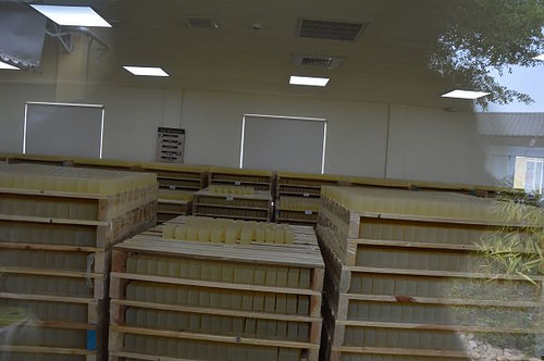 雅聞海岸觀光工廠57