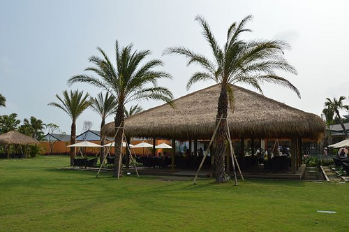 雅聞海岸觀光工廠18