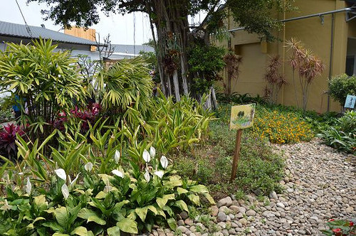 雅聞海岸觀光工廠56