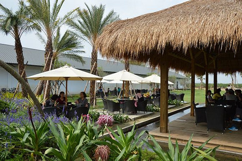 雅聞海岸觀光工廠67