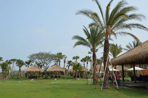 雅聞海岸觀光工廠16