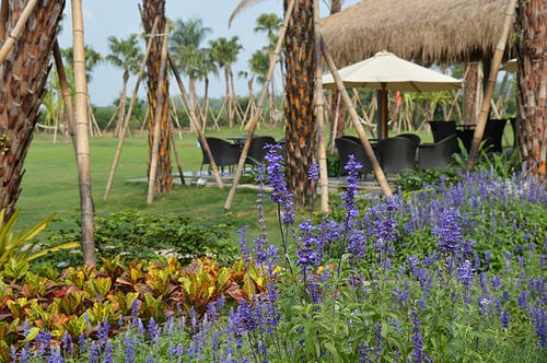 雅聞海岸觀光工廠10