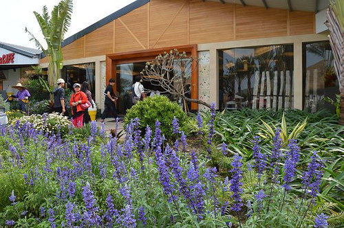 雅聞海岸觀光工廠28