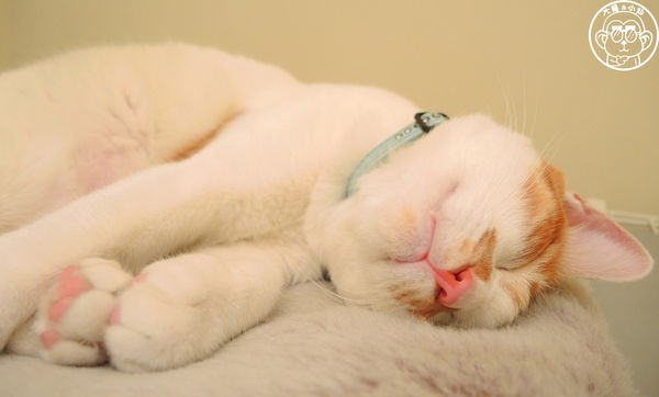 Double Like 雙倍喜歡：呷飽祙【台北大同･Double Like雙倍喜歡】周邊捷運站公共藝術也很有看頭