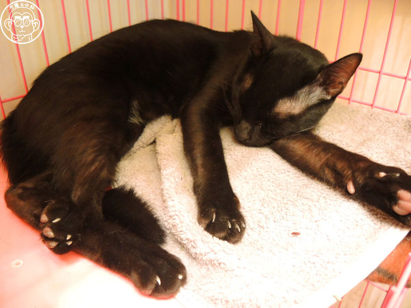 Double Like 雙倍喜歡：呷飽祙【台北大同･Double Like雙倍喜歡】周邊捷運站公共藝術也很有看頭