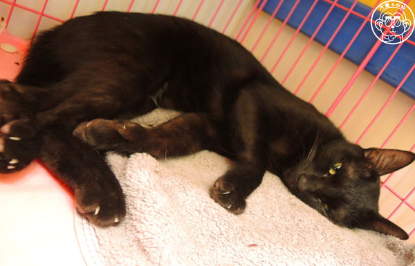 Double Like 雙倍喜歡：呷飽祙【台北大同･Double Like雙倍喜歡】周邊捷運站公共藝術也很有看頭