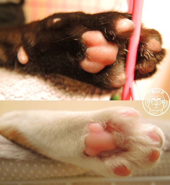 Double Like 雙倍喜歡：呷飽祙【台北大同･Double Like雙倍喜歡】周邊捷運站公共藝術也很有看頭