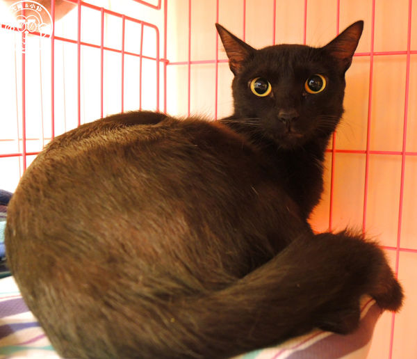 Double Like 雙倍喜歡：呷飽祙【台北大同･Double Like雙倍喜歡】周邊捷運站公共藝術也很有看頭