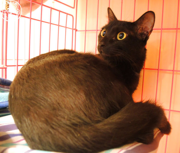 Double Like 雙倍喜歡：呷飽祙【台北大同･Double Like雙倍喜歡】周邊捷運站公共藝術也很有看頭