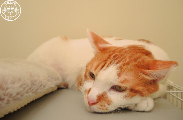 Double Like 雙倍喜歡：呷飽祙【台北大同･Double Like雙倍喜歡】周邊捷運站公共藝術也很有看頭