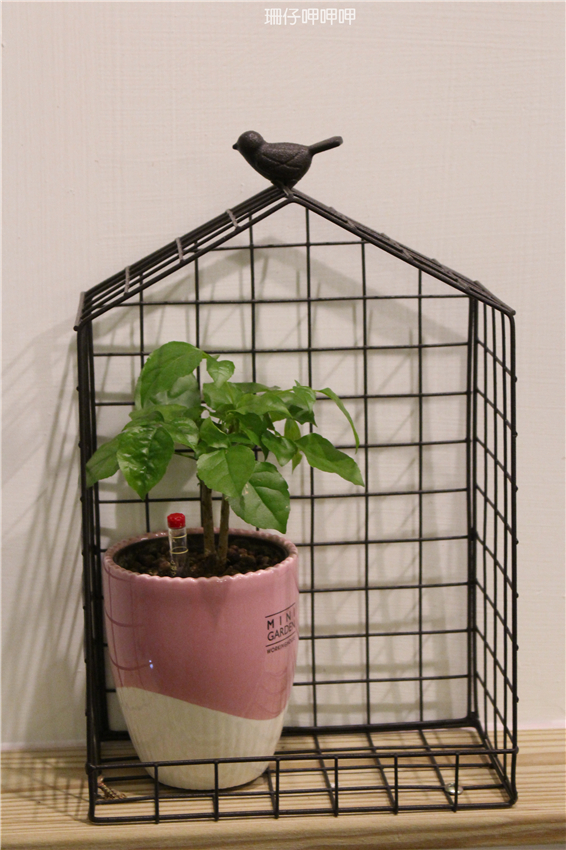 覺樂cafe：覺樂café✪拿破崙水果冰淇淋❤最對味兒~103.08.14