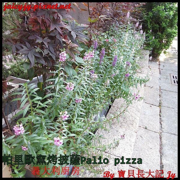 帕里歐窯烤披薩(福科店)：台中CP值極高好吃手工窯烤披薩【帕里歐窯烤披薩】 Palio pizza義大利廚房