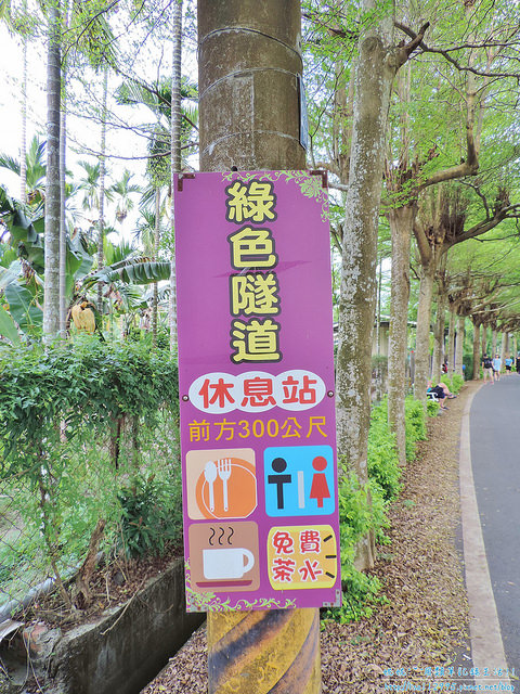 DSCN0734 (1500x2000)