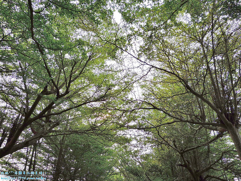 DSCN0746 (2000x1500)