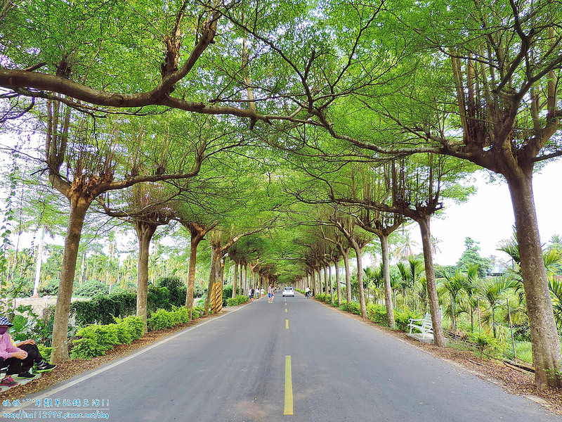 DSCN0717 (2000x1500)