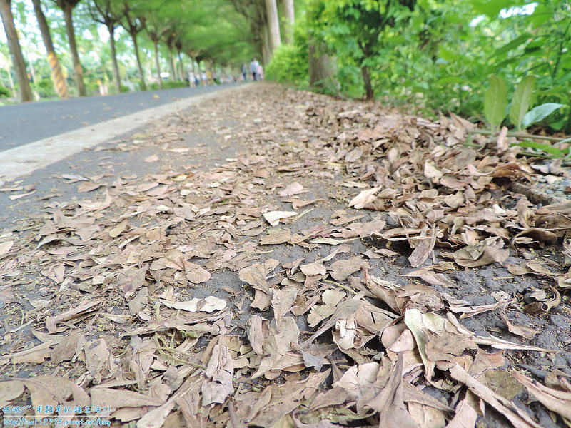 DSCN0727 (2000x1500)