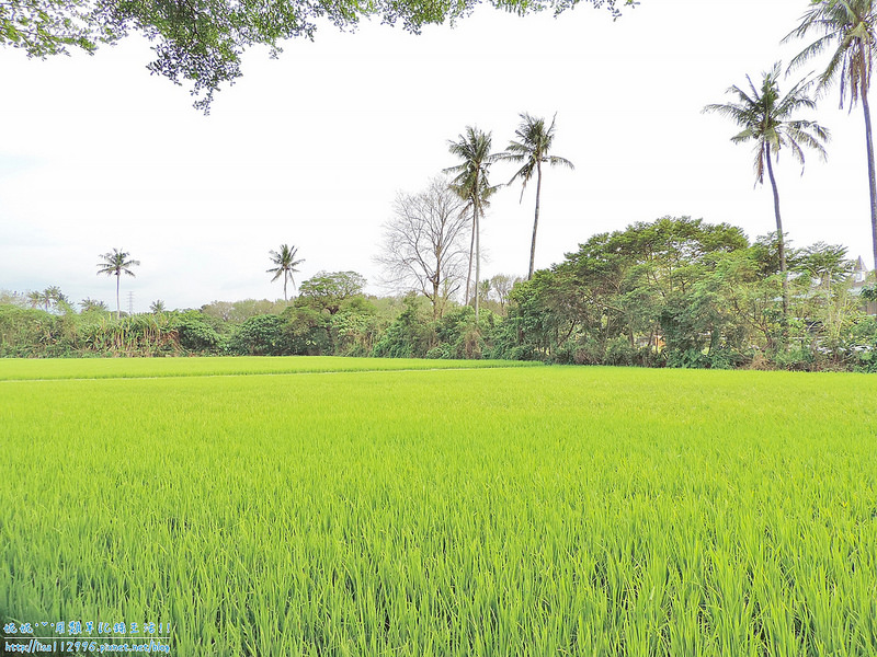 DSCN0730 (2000x1500)