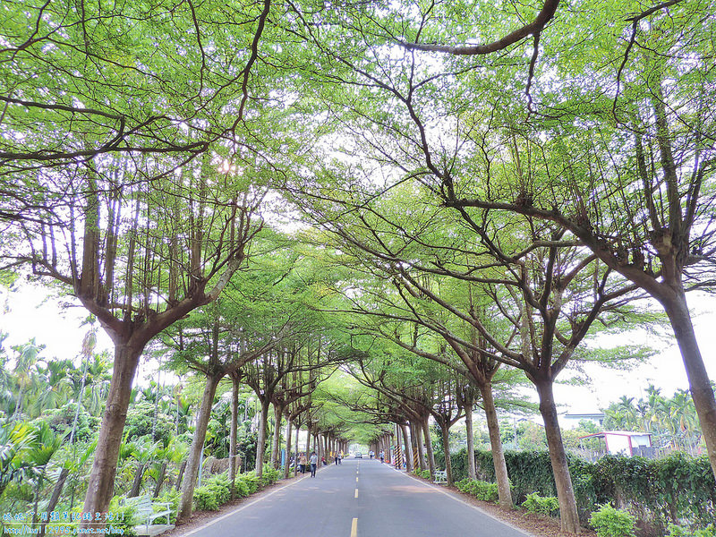 DSCN0752 (2000x1500)