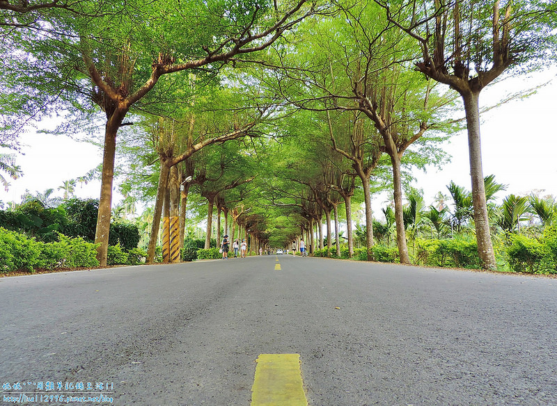 DSCN0718 (2000x1461)