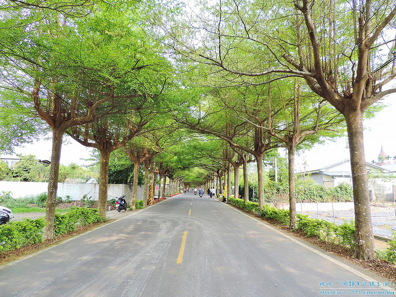 DSCN0712 (2000x1500)