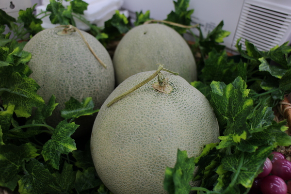 7-11(福榮門市):7-11哈密瓜霜淇淋│士林福榮店│夕張產│北海道霜淇淋