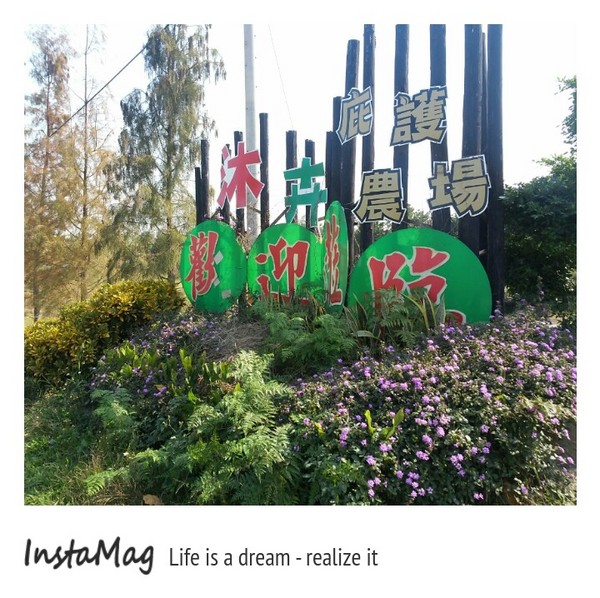 沐卉親子農場：適合全家親子一起出遊~沐卉親子農場