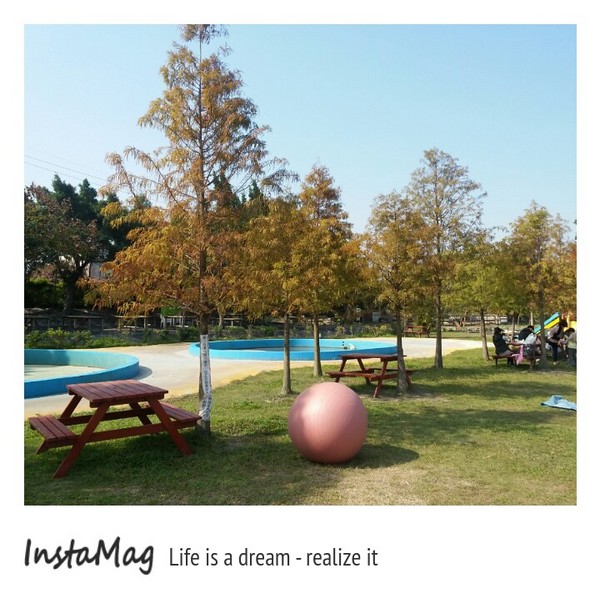 沐卉親子農場：適合全家親子一起出遊~沐卉親子農場