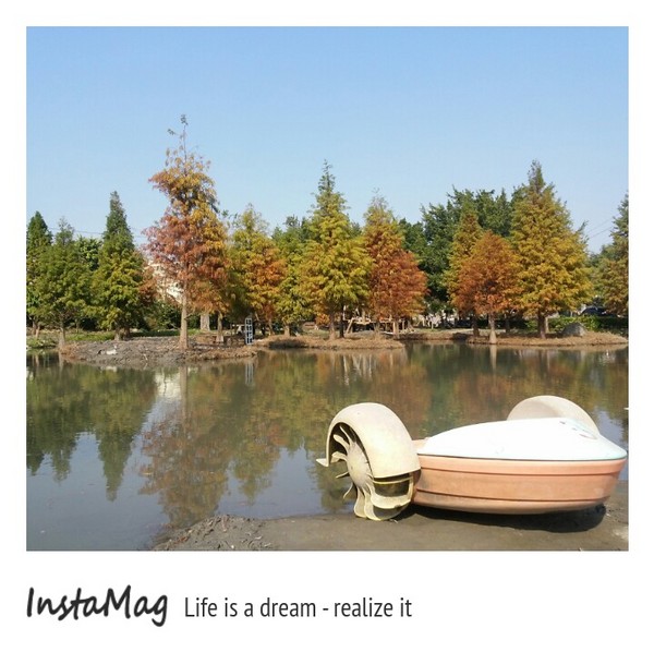 沐卉親子農場：適合全家親子一起出遊~沐卉親子農場