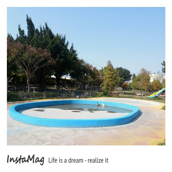 沐卉親子農場：適合全家親子一起出遊~沐卉親子農場