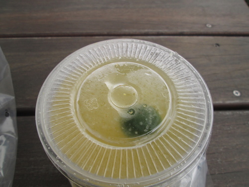 IMG_2872.JPG - 試吃1