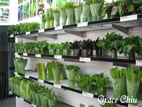 辣滷哇:辣滷哇~哇!滷味這樣賣~蔬菜森林