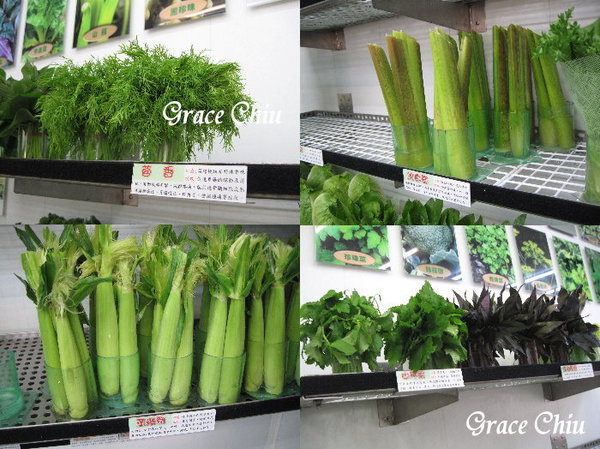 辣滷哇:辣滷哇~哇!滷味這樣賣~蔬菜森林