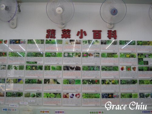 辣滷哇:辣滷哇~哇!滷味這樣賣~蔬菜森林