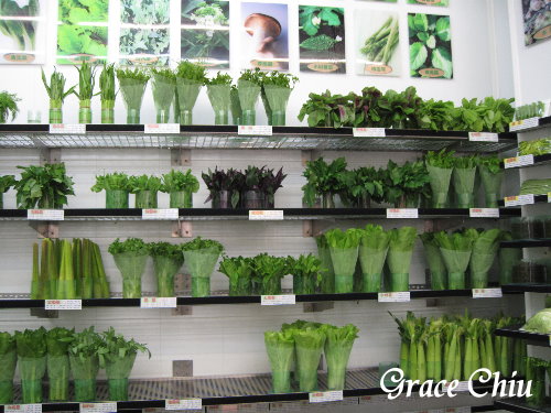 辣滷哇:辣滷哇~哇!滷味這樣賣~蔬菜森林