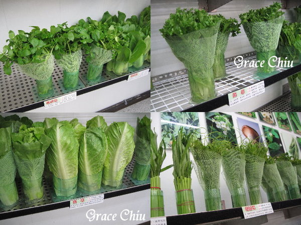 辣滷哇:辣滷哇~哇!滷味這樣賣~蔬菜森林