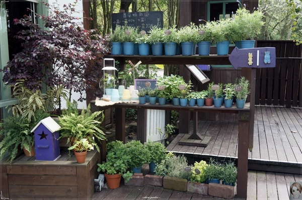 薰衣草森林(明德店)：[閃點] 苗栗薰衣草森林(明德水庫店)-愛情、願望近了