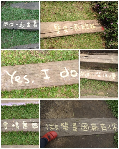 薰衣草森林(明德店)：[閃點] 苗栗薰衣草森林(明德水庫店)-愛情、願望近了