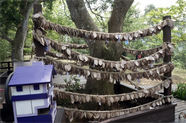 薰衣草森林(明德店)：[閃點] 苗栗薰衣草森林(明德水庫店)-愛情、願望近了