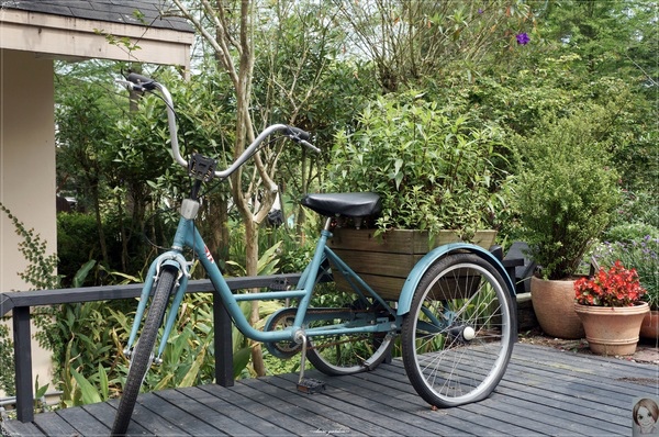 薰衣草森林(明德店)：[閃點] 苗栗薰衣草森林(明德水庫店)-愛情、願望近了