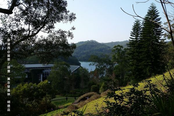 苗栗/薰衣草森林(明德店)