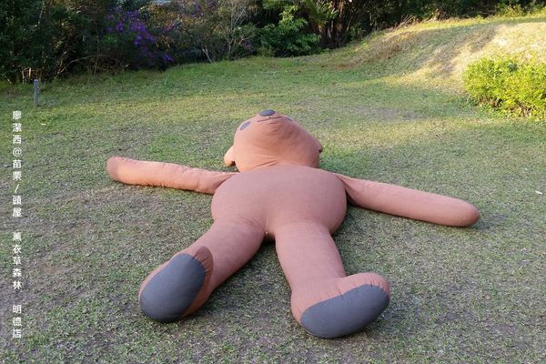 苗栗/薰衣草森林(明德店)