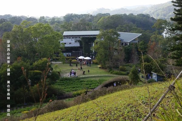 苗栗/薰衣草森林(明德店)