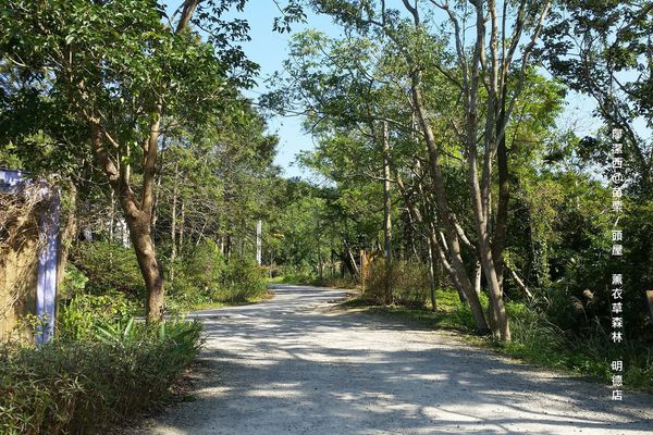 苗栗/薰衣草森林(明德店)