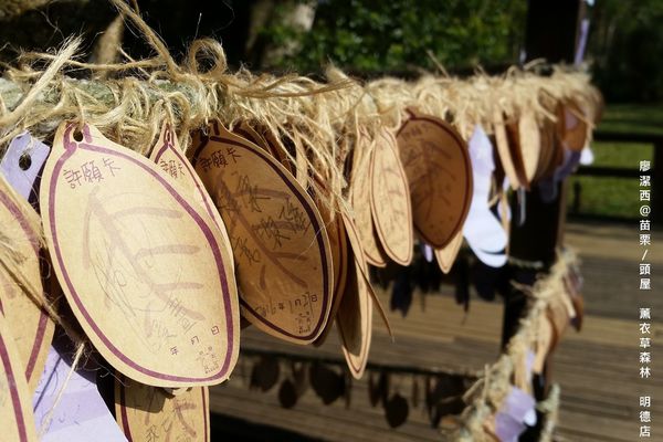 苗栗/薰衣草森林(明德店)