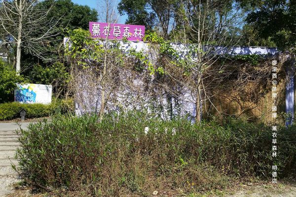 苗栗/薰衣草森林(明德店)