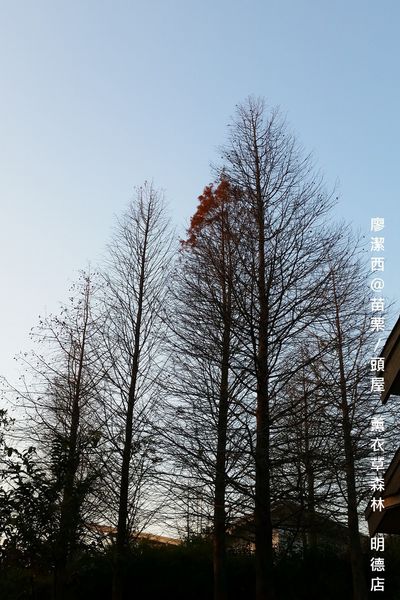 苗栗/薰衣草森林(明德店)