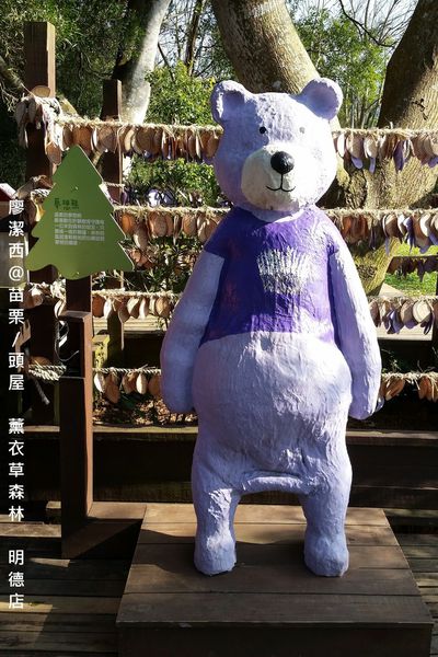 苗栗/薰衣草森林(明德店)
