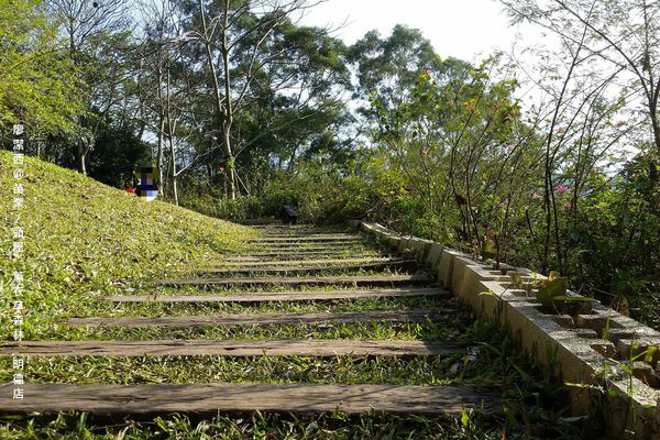 苗栗/薰衣草森林(明德店)