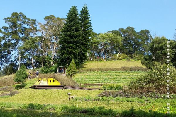 苗栗/薰衣草森林(明德店)
